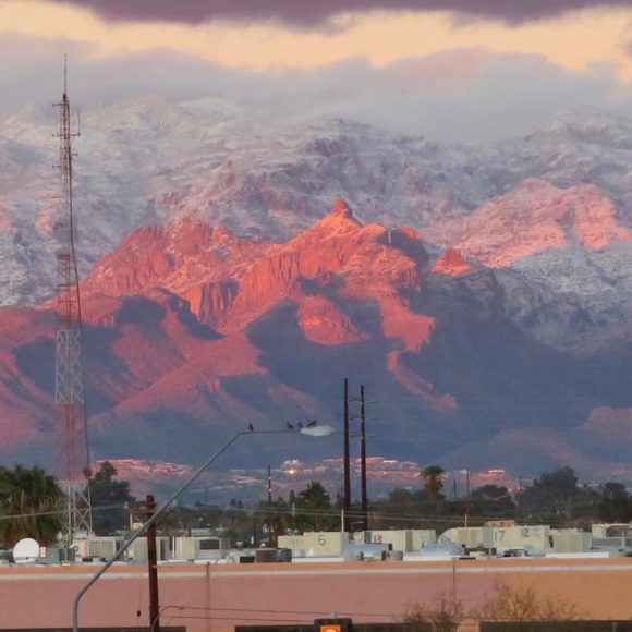 Meet your Posher, Bri - Picture 1 of 1